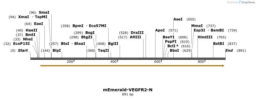 107678_map