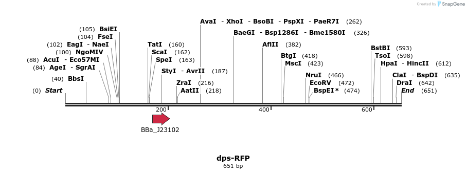 107679_map