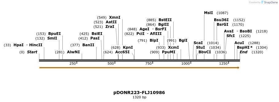 10768_map