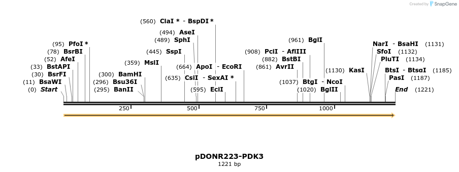 10769_map
