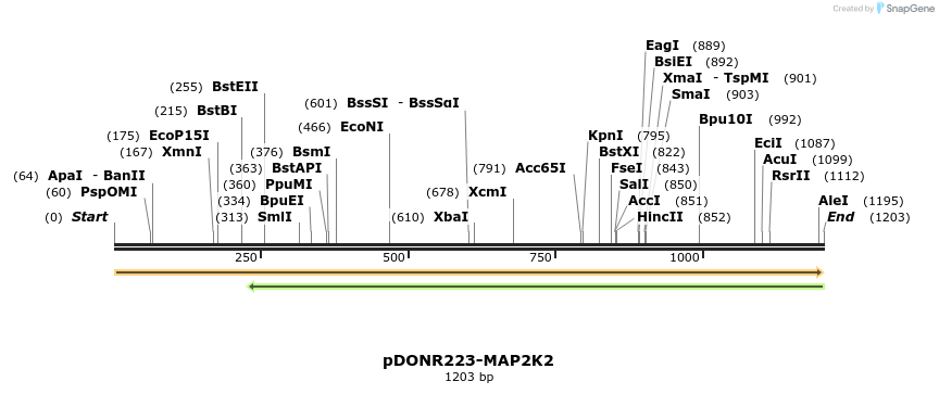 10770_map
