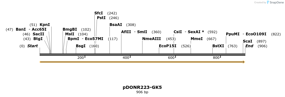 10771_map