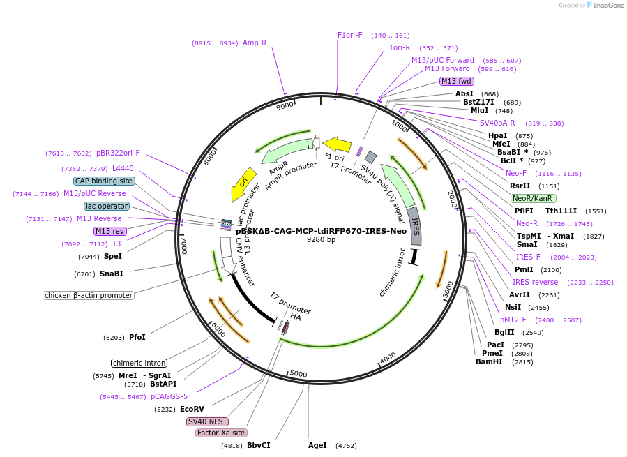 107710_map
