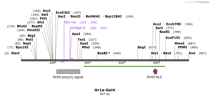 107711_map