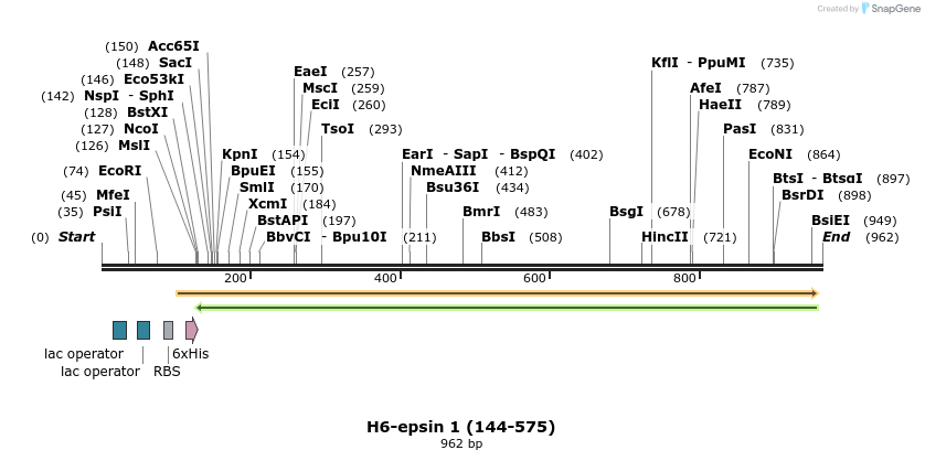 107713_map