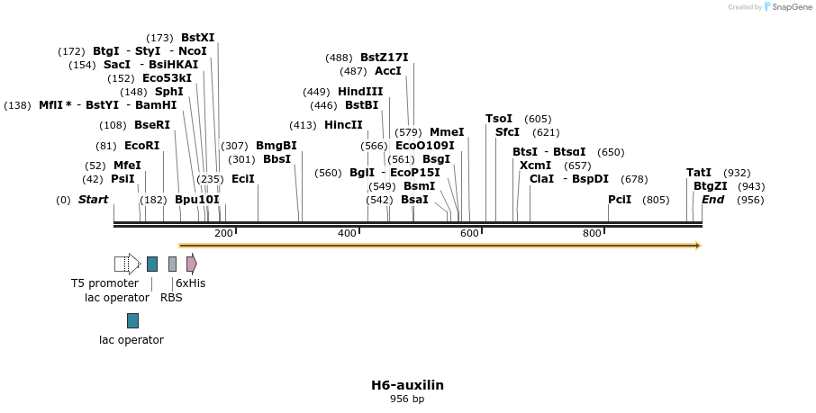 107715_map