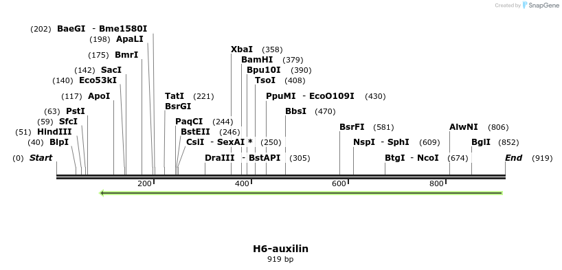 107716_map