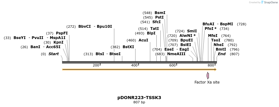 10772_map