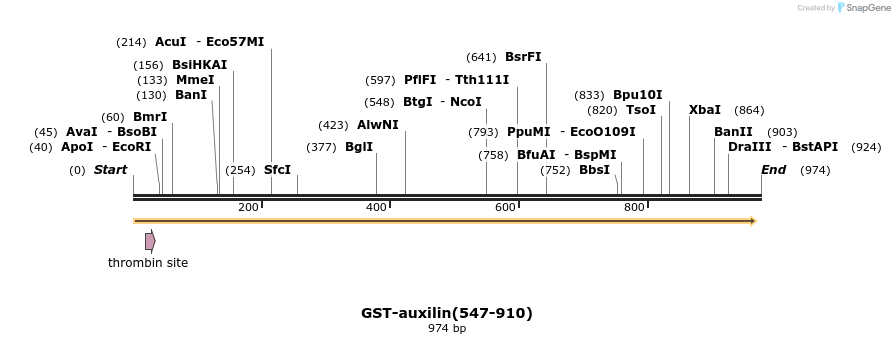 107722_map