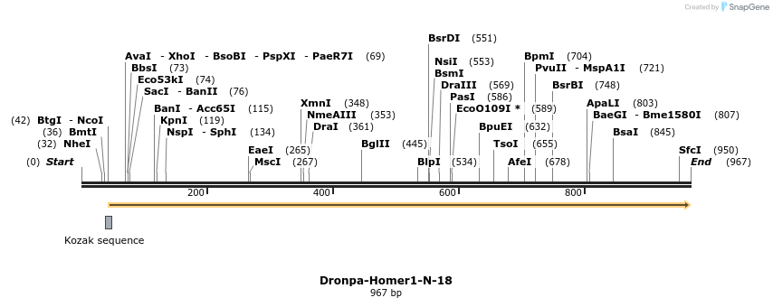 107727_map