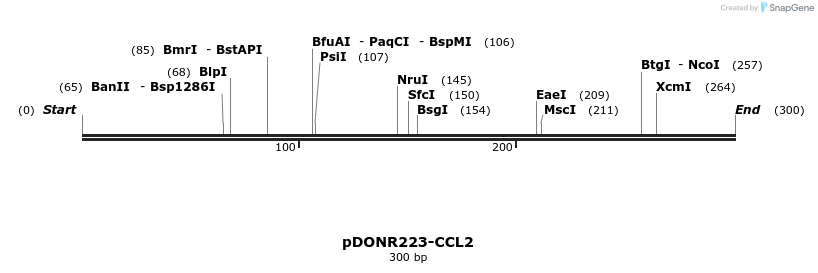 10773_map