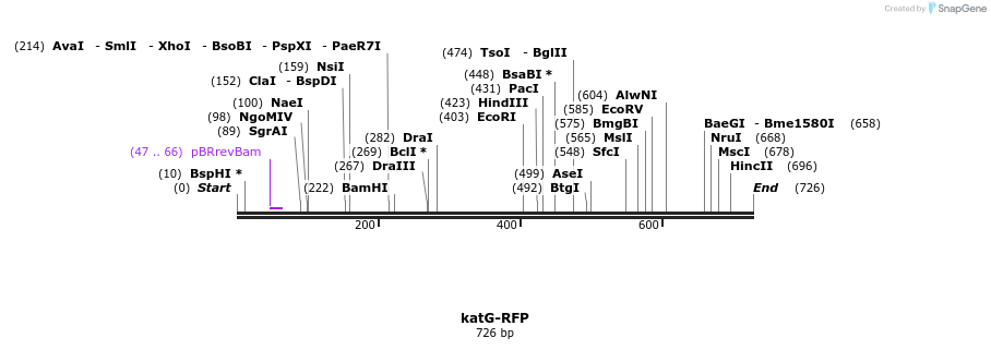 107732_map