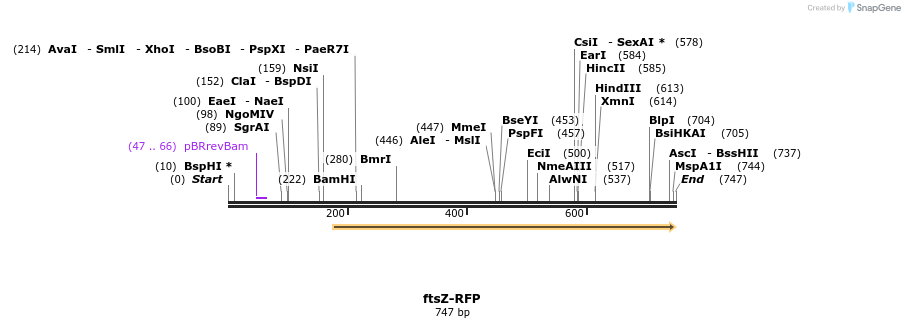 107736_map