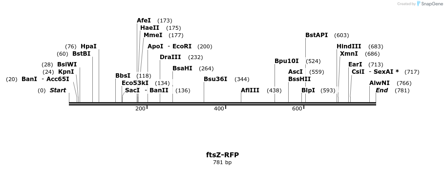 107738_map