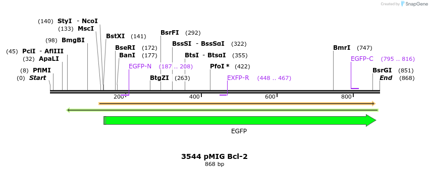 107739_map