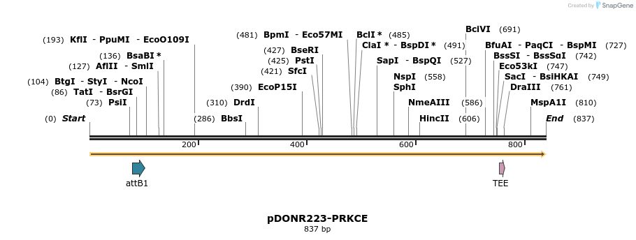 10774_map