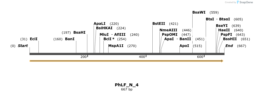 107744_map