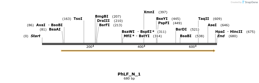 107745_map