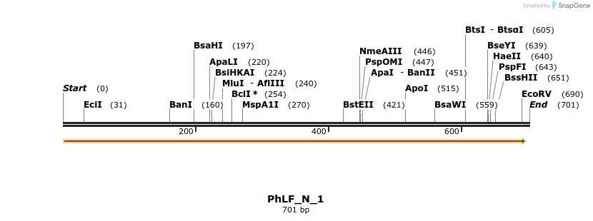 107747_map