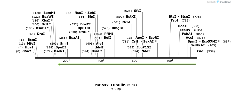 107750_map