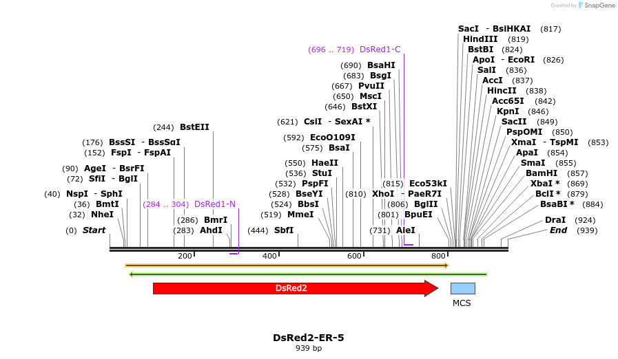 107752_map