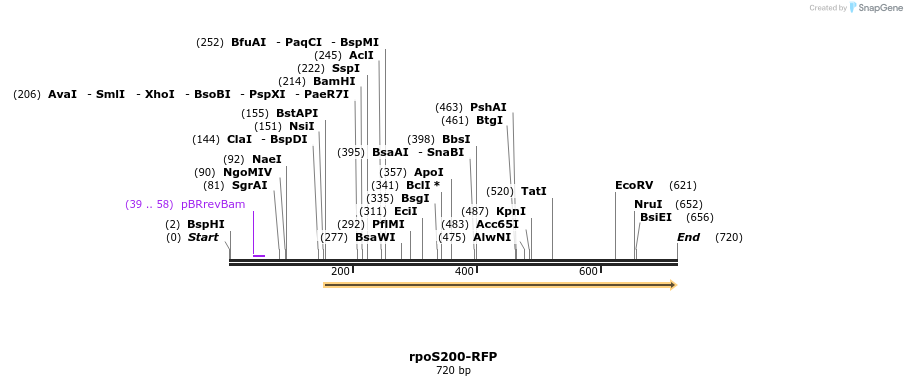 107756_map
