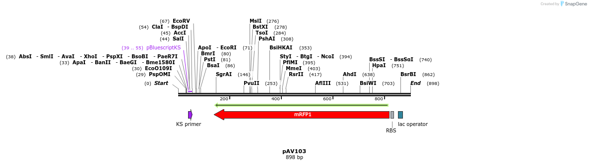 107758_map