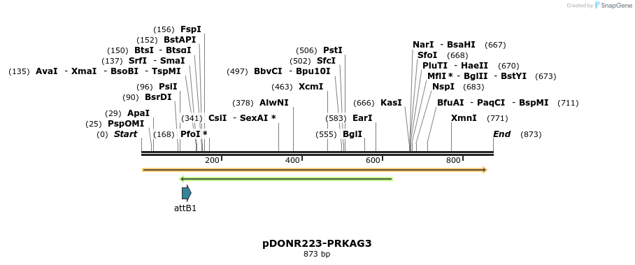 10776_map