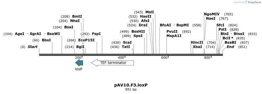 107763_map