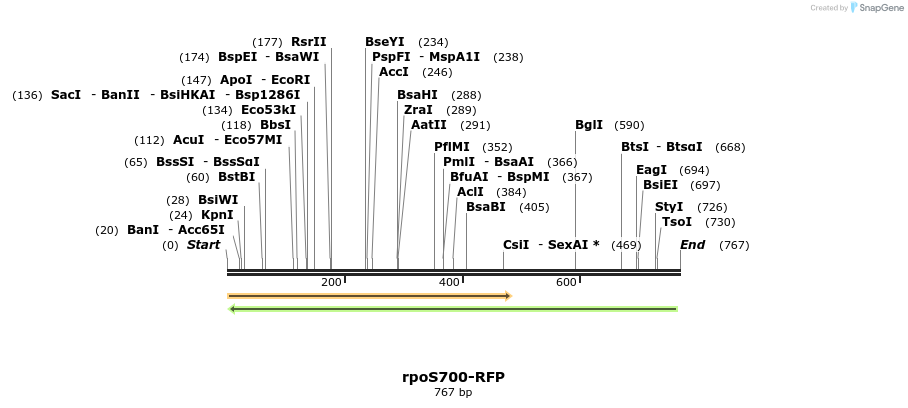 107765_map