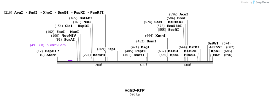 107770_map