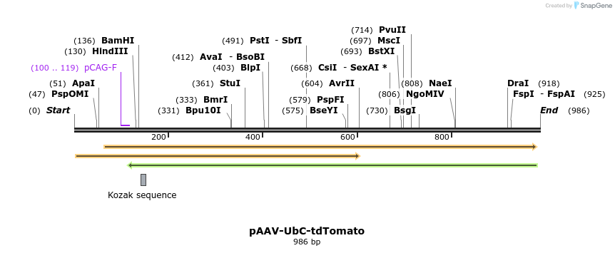 107779_map