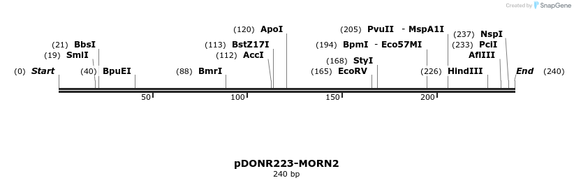 10778_map