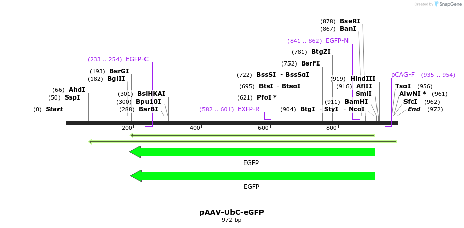 107784_map