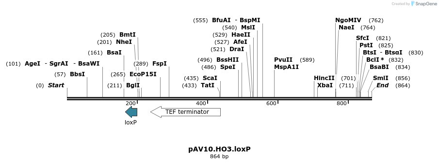 107788_map