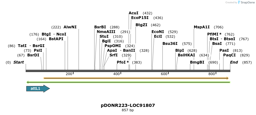 10779_map