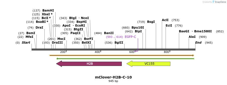 107791_map