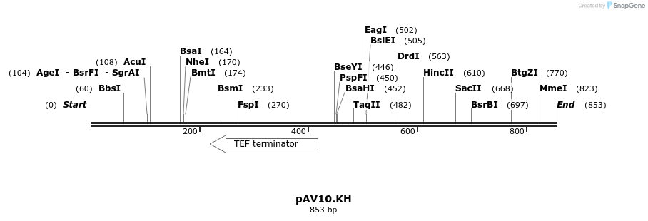 107794_map