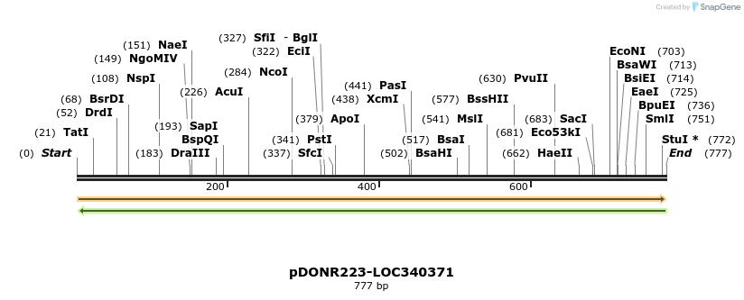 10780_map