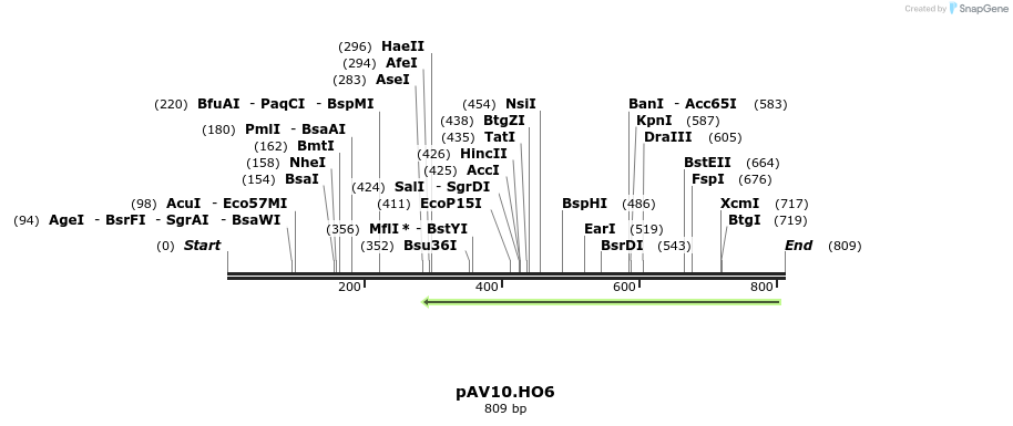 107802_map