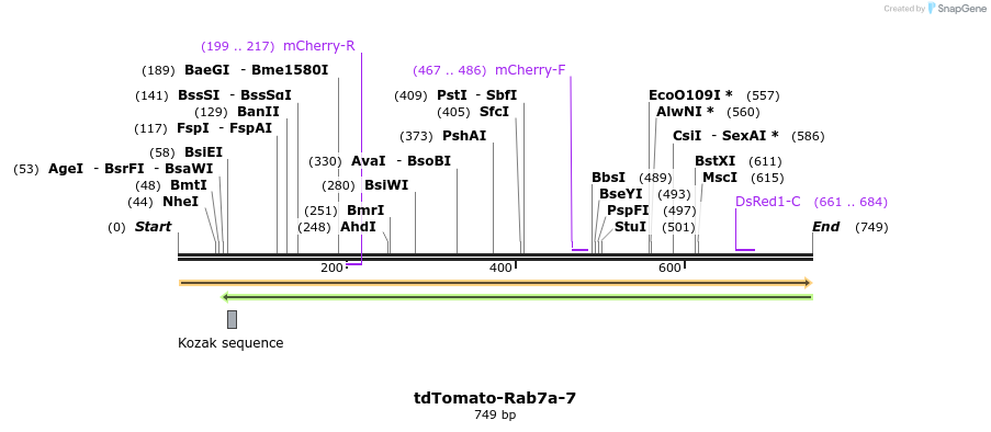 107803_map