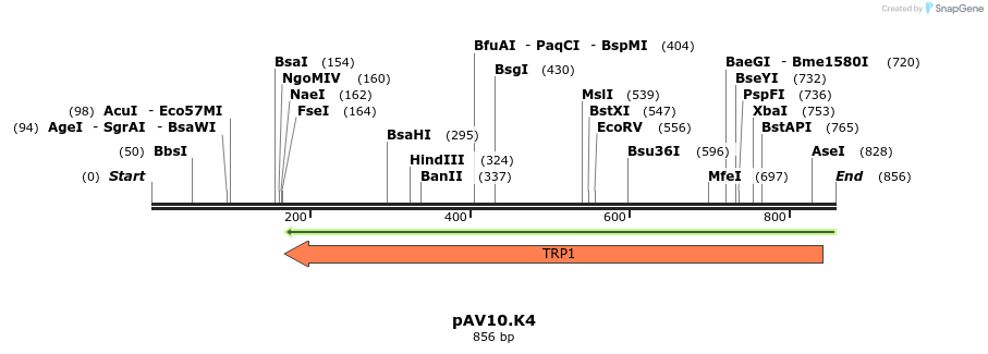 107804_map