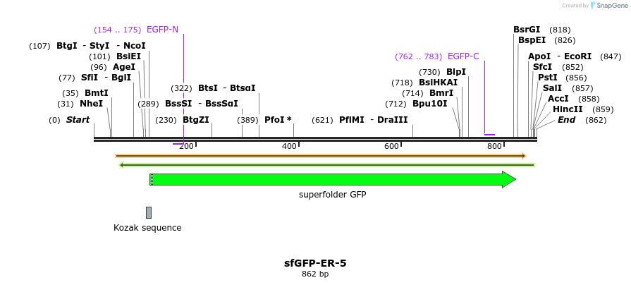 107807_map