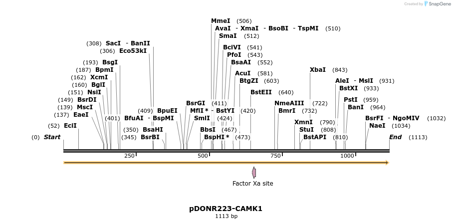 10781_map