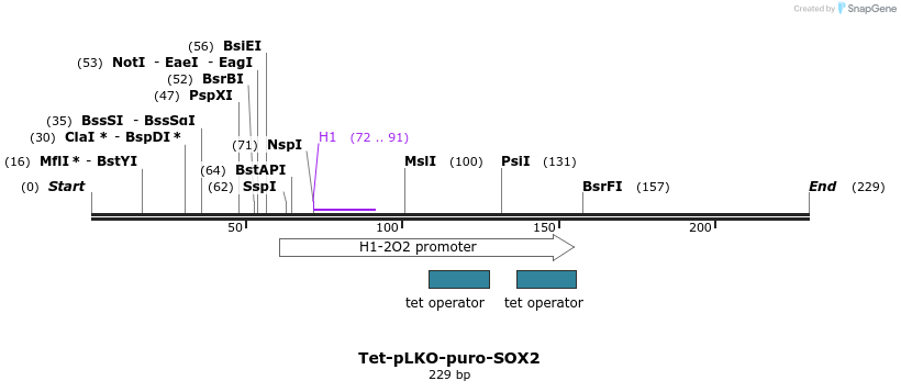 107812_map