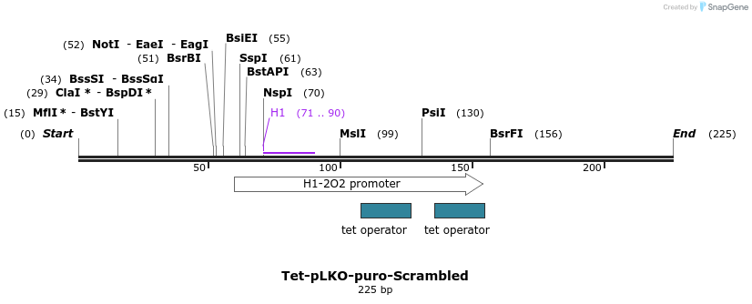 107815_map