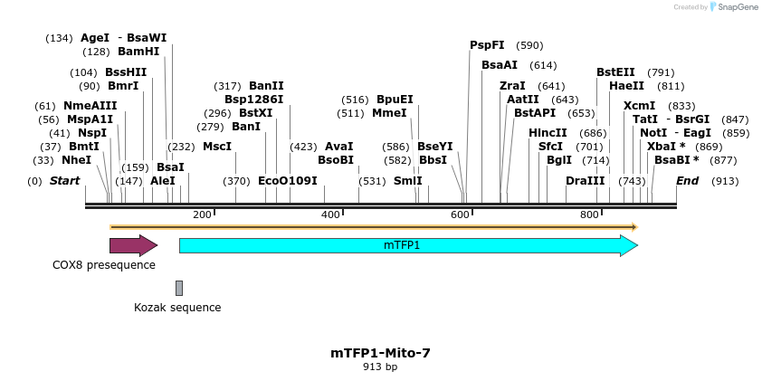 107818_map