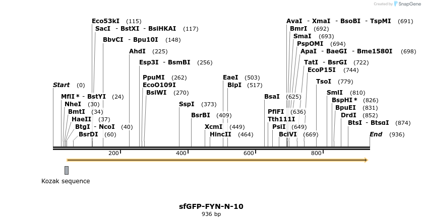 107819_map