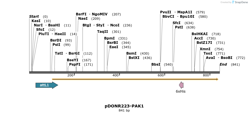 10782_map