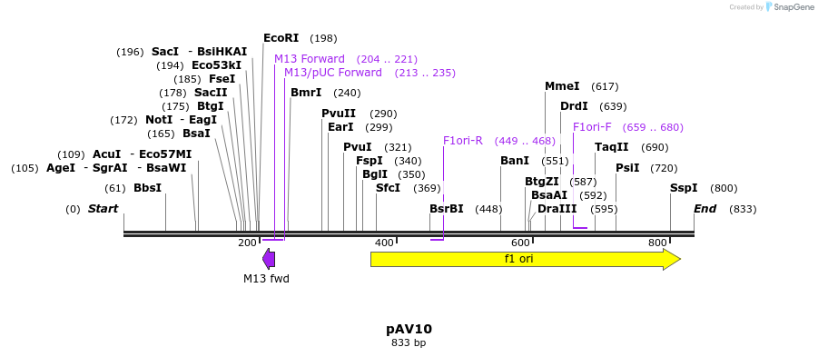 107820_map